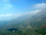 Cedars